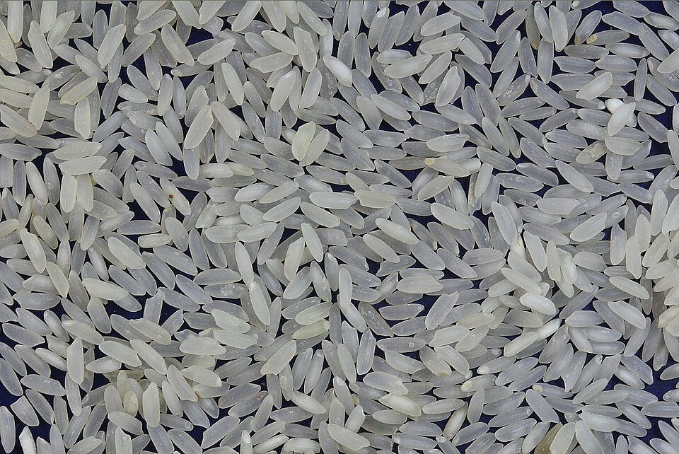 Arroz branco